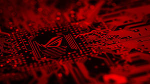 Red Asus Circuit Wallpaper