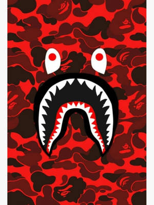 Red Bape Shark Logo Wallpaper