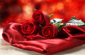 Red Beautiful Rose Hd On Silk Wallpaper