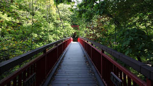 Red Bridge Surrounded By Greenery Wallpaper