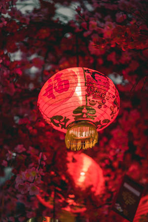 Red Chinese Lantern Wallpaper