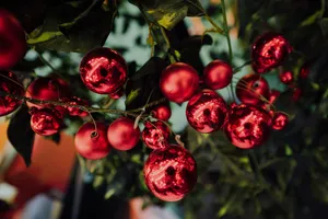 Red Christmas Balls Wallpaper