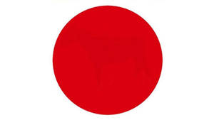 Red Circle Like Japan Flag Wallpaper