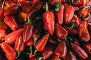 Red Color Chili Peppers Wallpaper