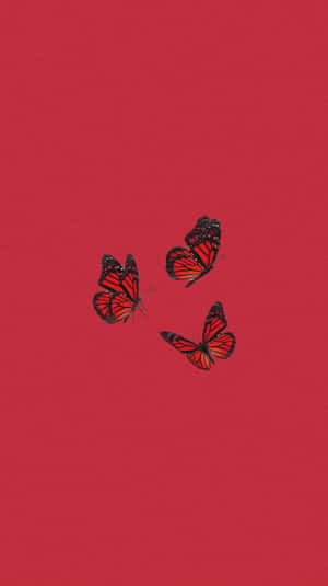 Red Cute Aesthetic Butterflies Wallpaper