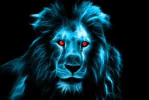 Red-eyed Blue Lion Head Wallpaper