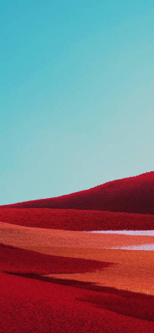 Red Field Google Pixel 4 Background Wallpaper