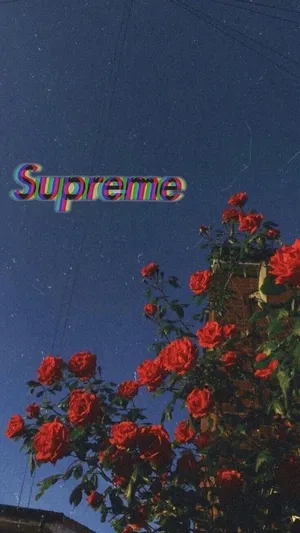 Red Flowers Supreme Aesthetic Tumblr Wallpaper
