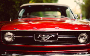 Red Ford Mustang Logo Wallpaper