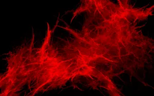 Red Grunge Fire In The Dark Wallpaper