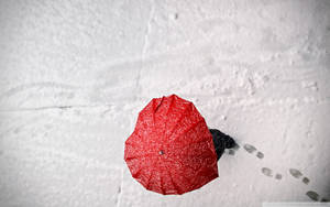 Red Heart Shaped Umbrella In February Wallpaper