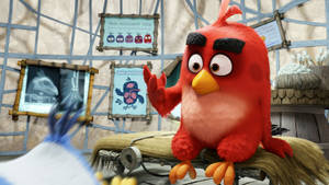 Red In The Angry Birds Movie Wallpaper