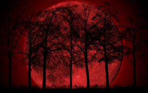 Red Moon Forest Background Wallpaper