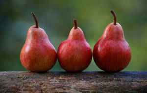Red Pears For Good Health Wallpaper