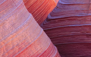 Red Rock Sandstone Close-up Wallpaper