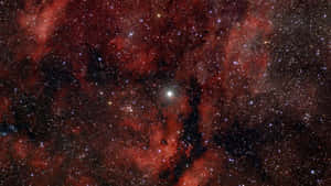 Red Space One Bright Star Wallpaper