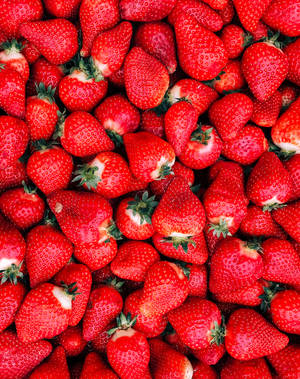 Red Strawberry Fruit Wallpaper