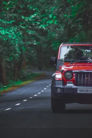 Red Thar 4k - Amidst The Green Nature Wallpaper