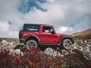 Red Thar 4k Flowers Wallpaper