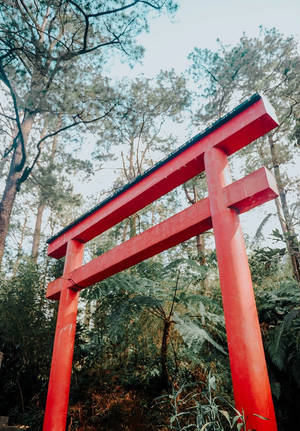 Red Torii Gate Wallpaper