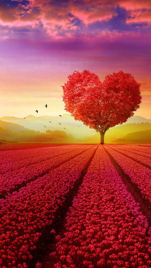Red Tree And Field Nature Love Wallpaper