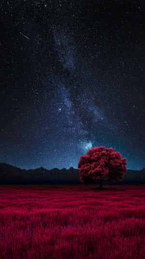 Red Tree Starry Night Wallpaper