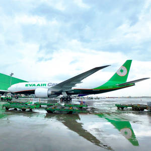 Reflective Eva Air Wallpaper