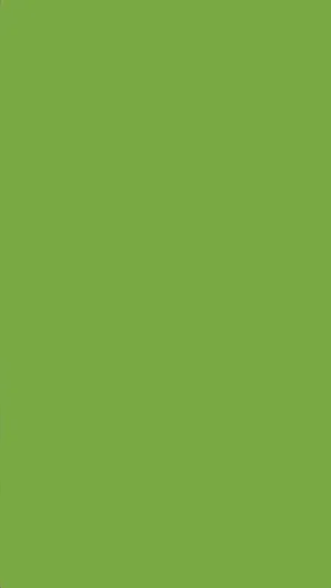 Download free Experience The Beauty Of Any Space With Our Solid Green Wallpaper Wallpaper MrWallpaper