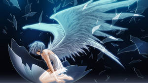 Rei With Angel Wings Evangelion Wallpaper