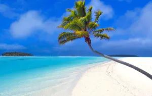 Relax Amongst The Beauty Of The Caribbean Wallpaper