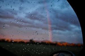 Relaxing Aesthetic Of Rain Washing Over Nature. Wallpaper