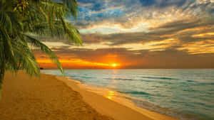 Relaxing At A Caribbean Beach Wallpaper