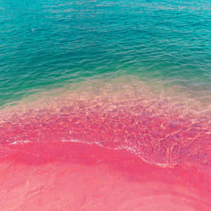 Relaxing During The Summer At The Beach With Your Phone. Wallpaper