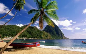 Relaxing In The Blue Waters Of A Caribbean Beach Wallpaper