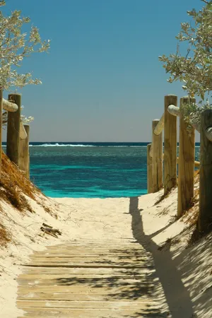 Relaxing On The Beach With Your Favorite Technology Wallpaper