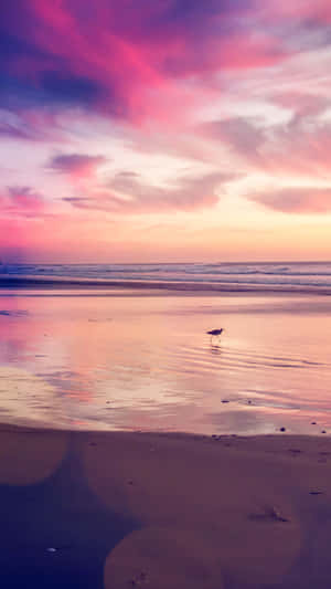 Relaxing Sunset At A Beach In Paradise Wallpaper
