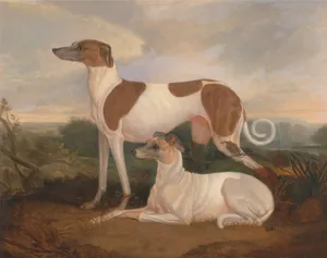 Renaissance Greyhounds Painting Wallpaper