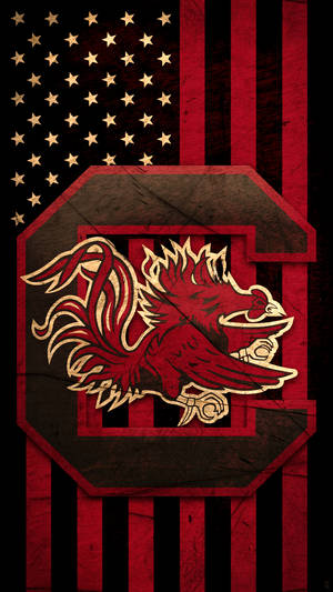 Represent The South Carolina Gamecocks Wallpaper