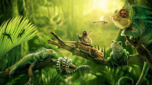 Reptiles Of The Jungle Wallpaper