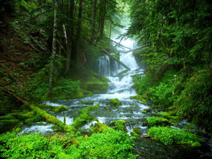 Retina Green Forest Waterfalls Wallpaper