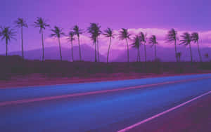 Retro Purple Palm Tree Road In Countryside Wallpaper