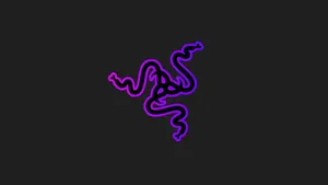 Rgb Razer Logo Gray Wallpaper