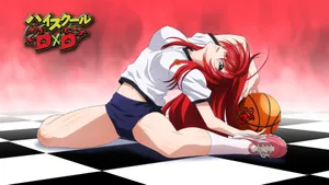 Rias Pe Highschool Dxd Wallpaper