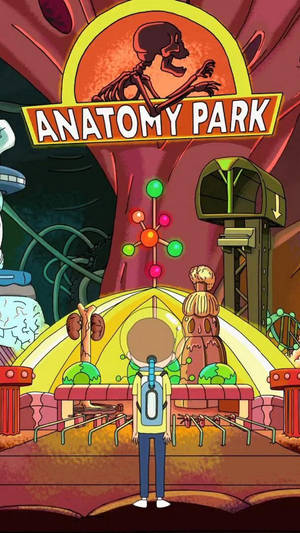 Rick And Morty Anatomy Park Iphone Wallpaper