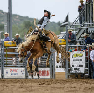 Rider In Team Roping Wallpaper