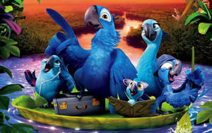 Rio 2 Blu Pointing Wallpaper