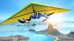 Rio Blu Paragliding Wallpaper