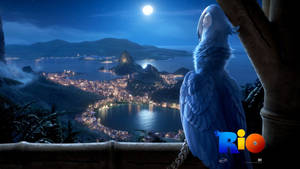 Rio Blue Staring Out Over City Wallpaper