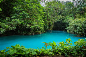 Rio Celeste Costa Rica Wallpaper