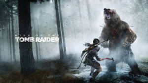 Rise Of The Tomb Raider Lara Bear Encounter Wallpaper